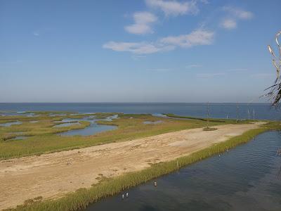 Sandee - Public Beach Access Road 5