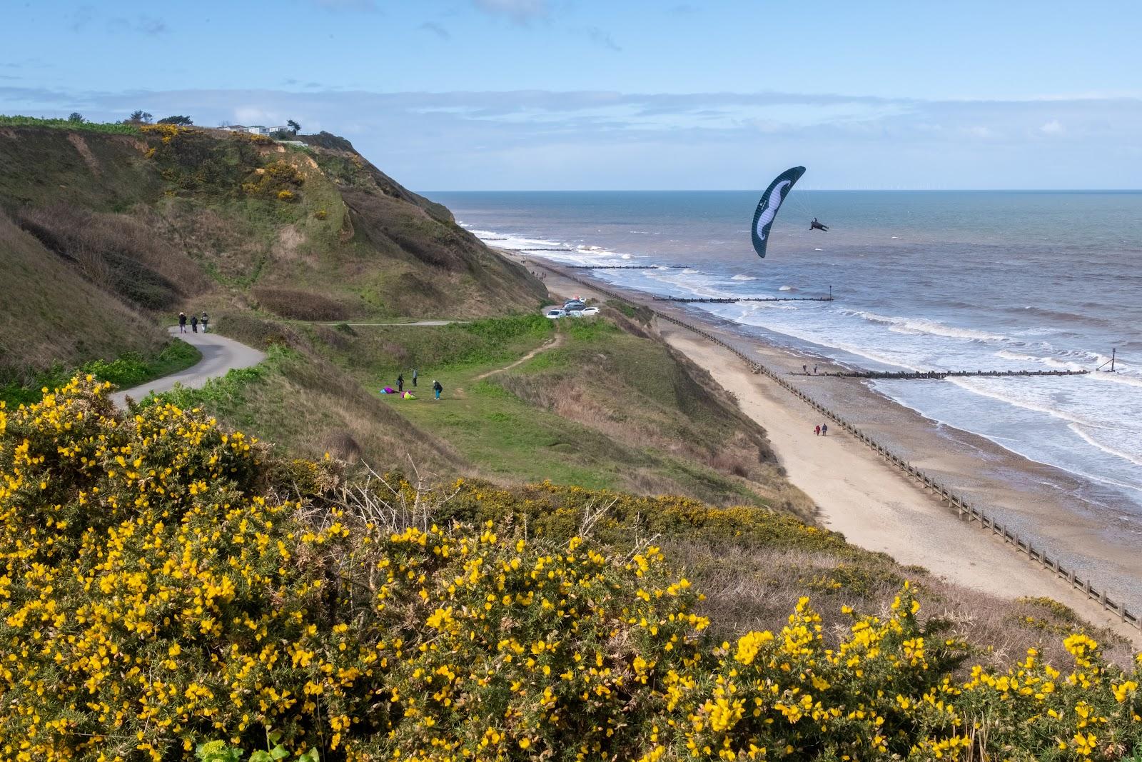 Sandee Trimingham Beach Photo