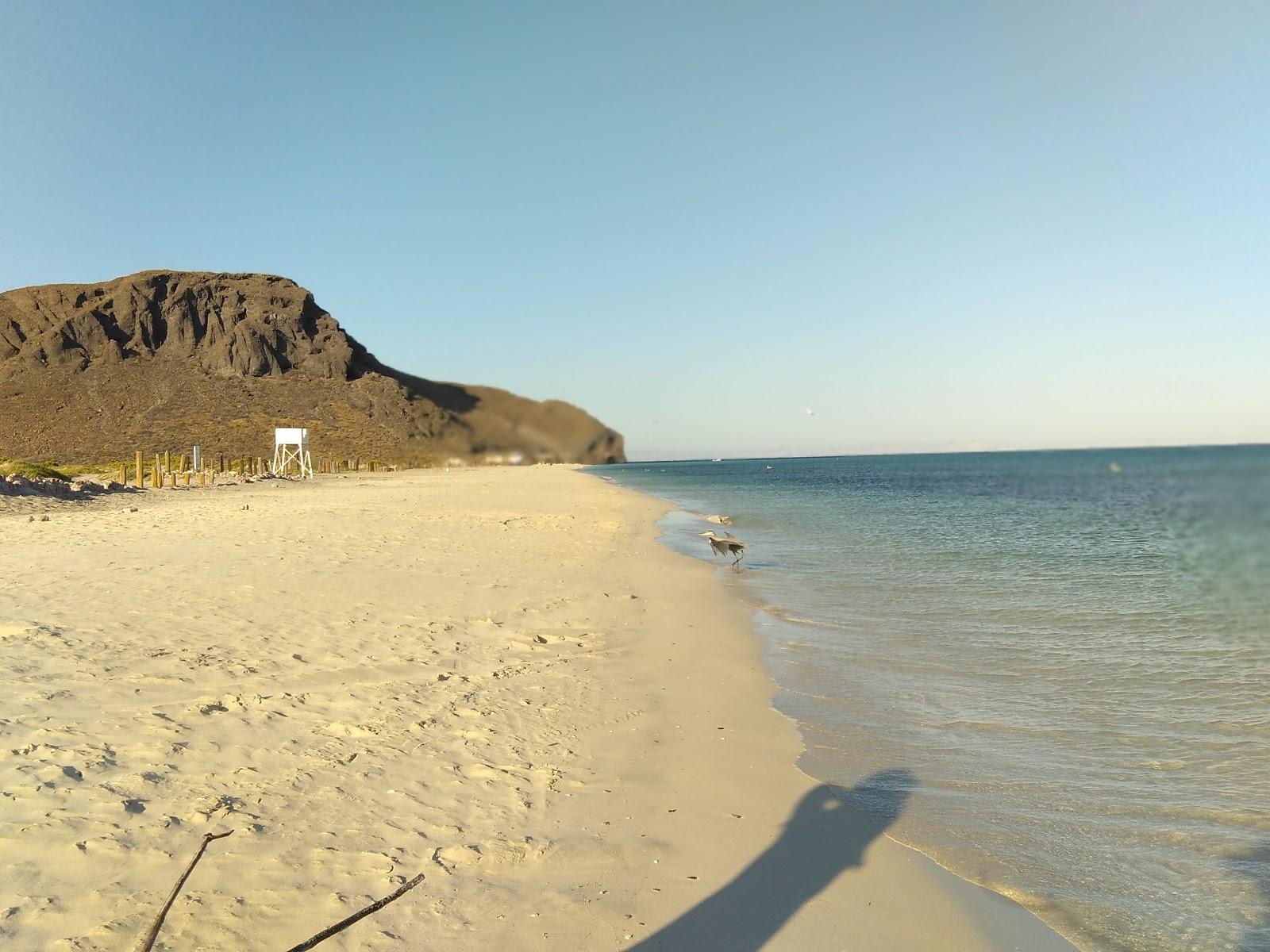 Sandee Playa Tecolote