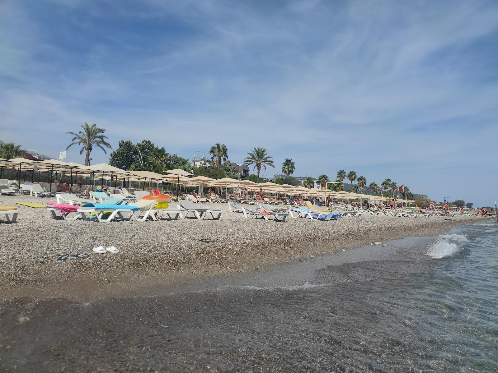 Sandee Camyuva Mahallesi Beach Photo