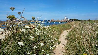 Sandee - Chardons Bleus Beach