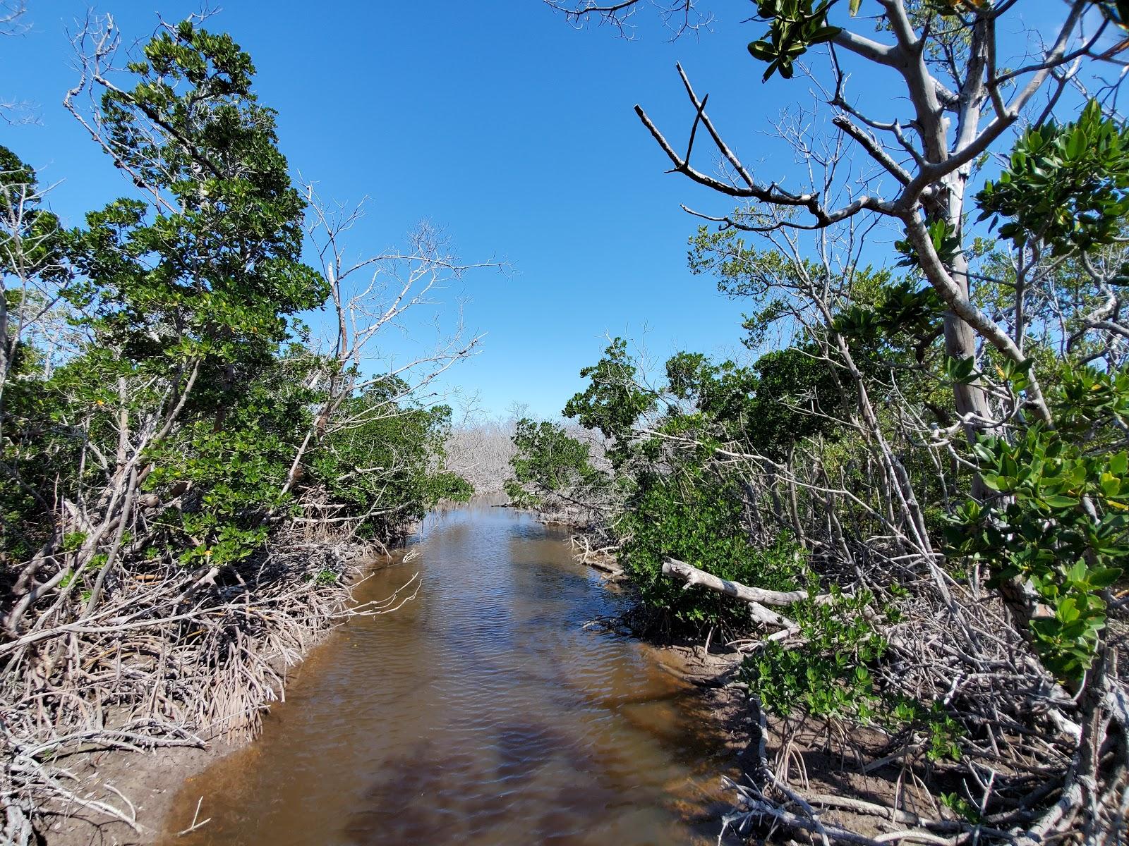 Sandee - Long Key State Park