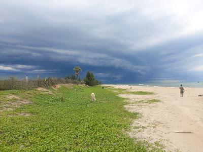 Sandee - Nayakkar Pettai Beach