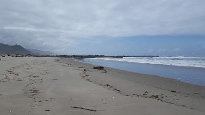 Sandee - Nehalem Bay Jetty Trail