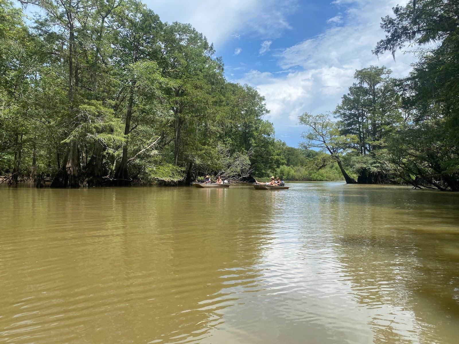 Sandee - Morrison Springs County Park