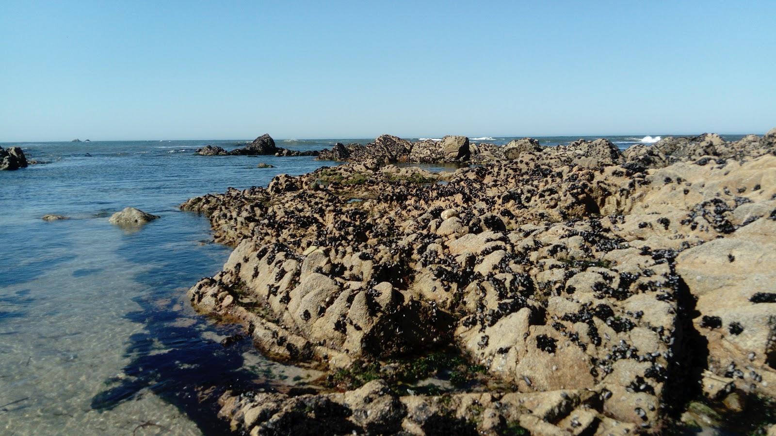Sandee Praia Da Boucinha