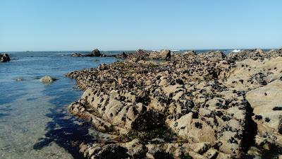 Sandee - Praia Da Boucinha