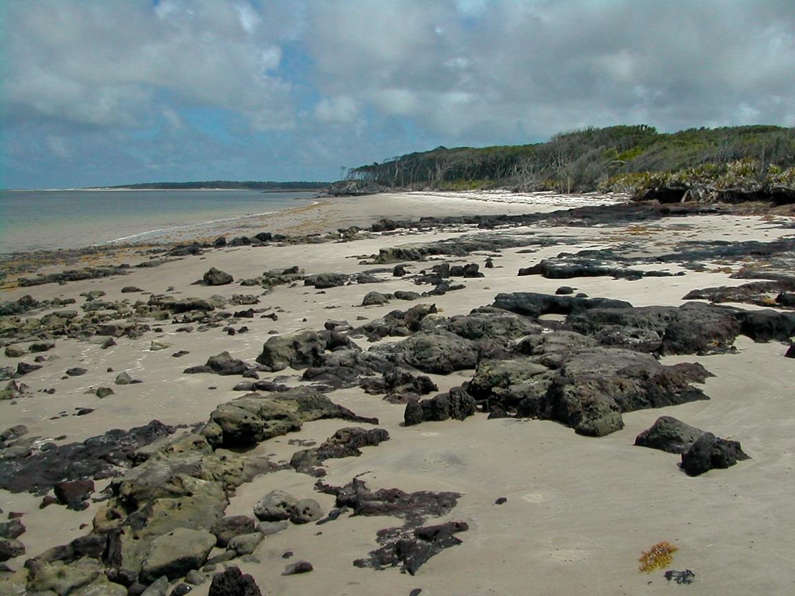 Sandee - Big Talbot Island State Park