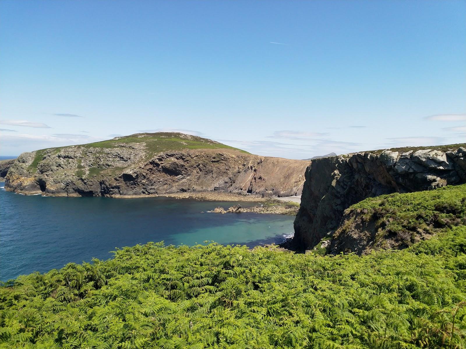 Sandee Rspb Ramsey Island