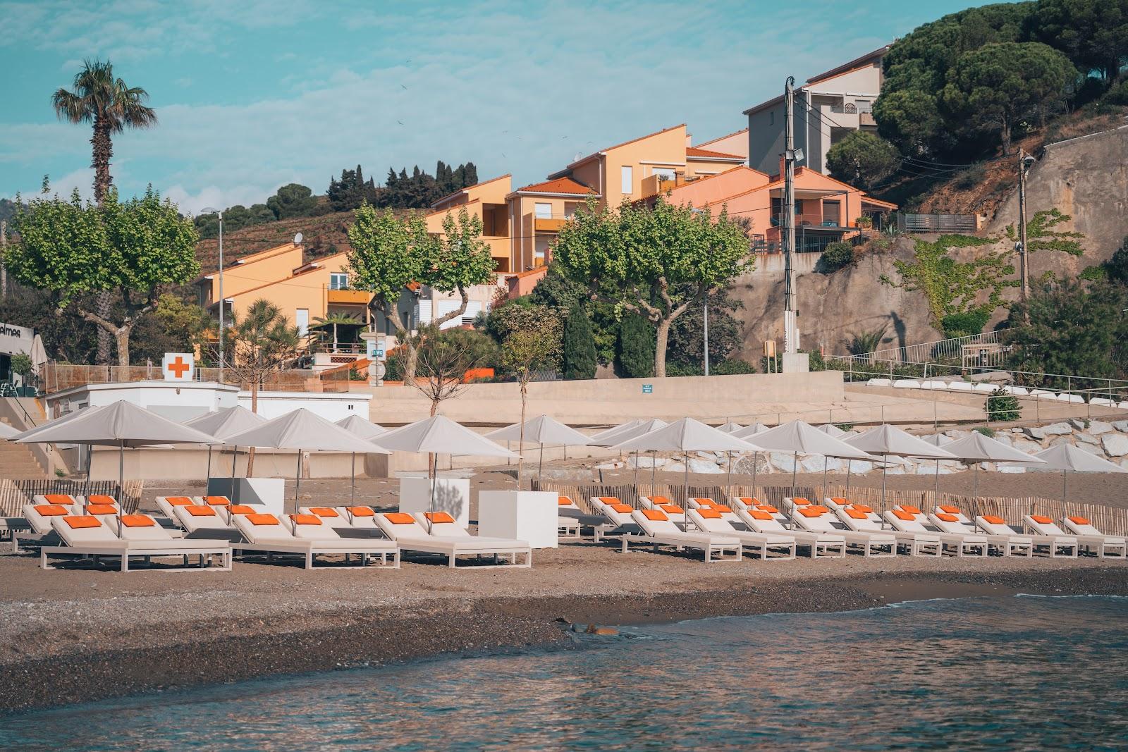 Sandee Plage Des Elmes