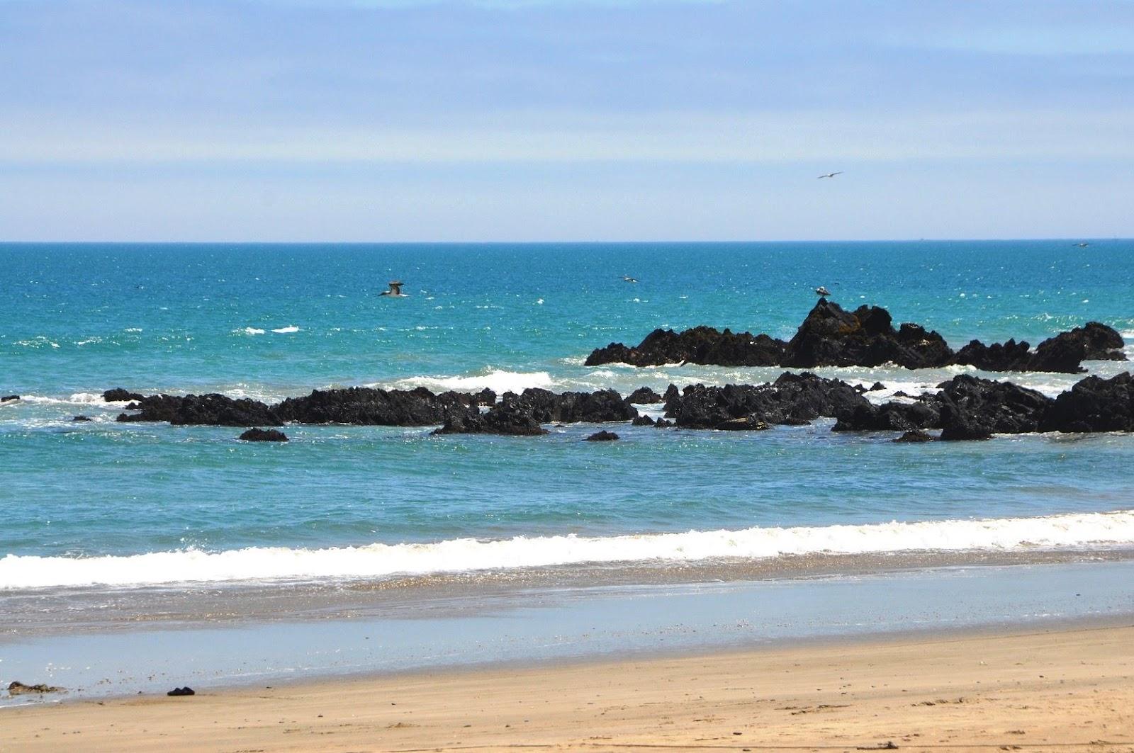 Sandee Playa Pacas