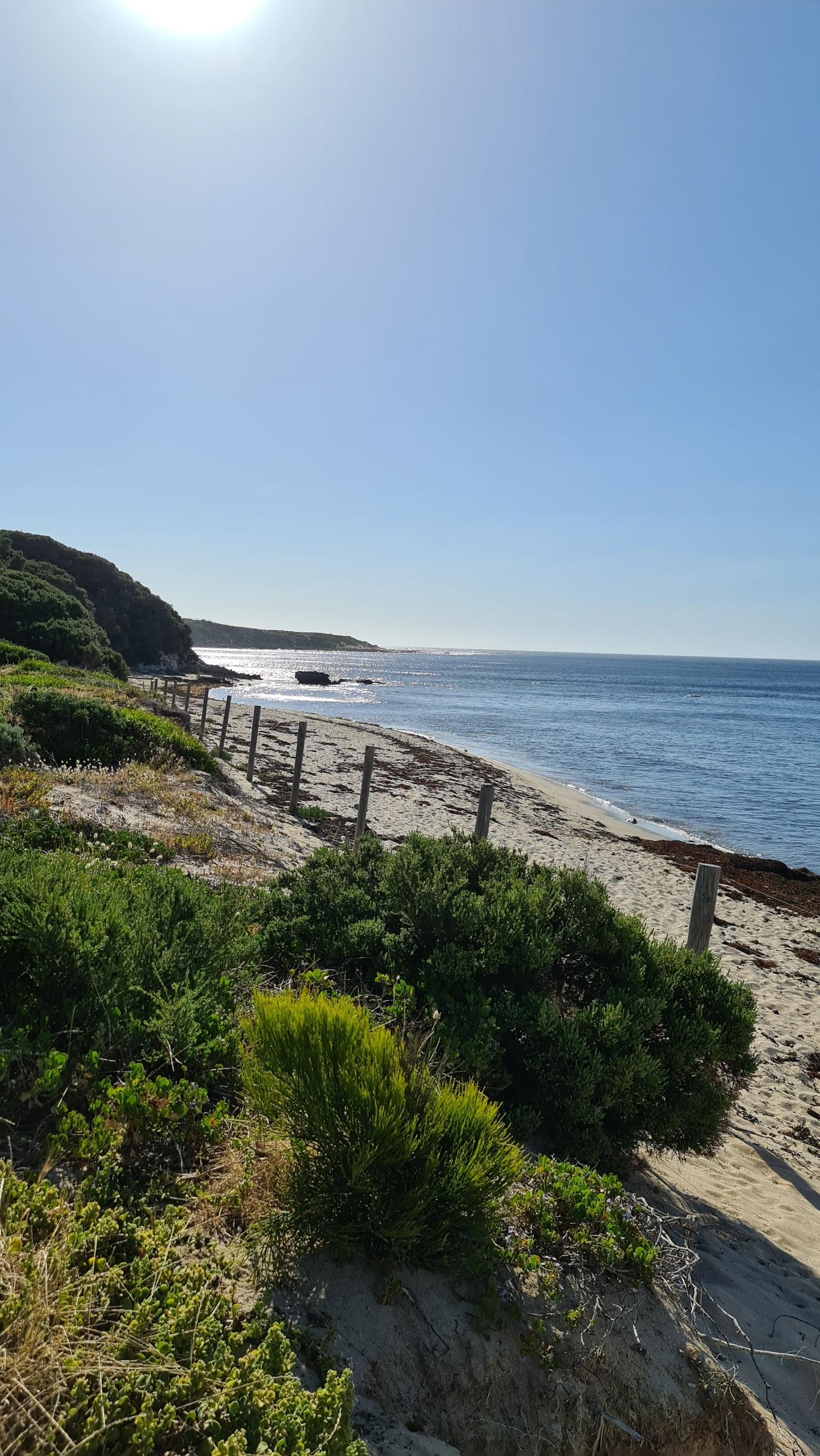 Sandee Melaleuca Beach Picnic Area Photo