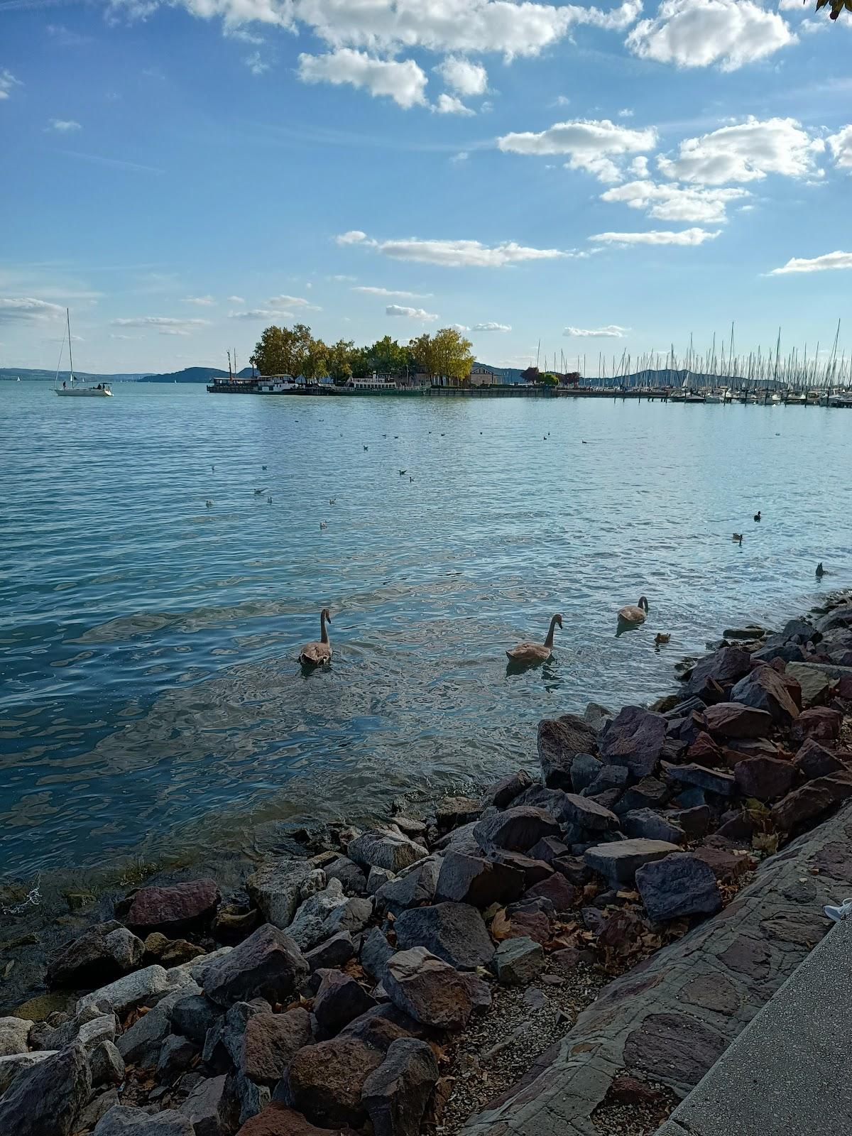 Sandee - Balatonfured Eszterhazy Strandja