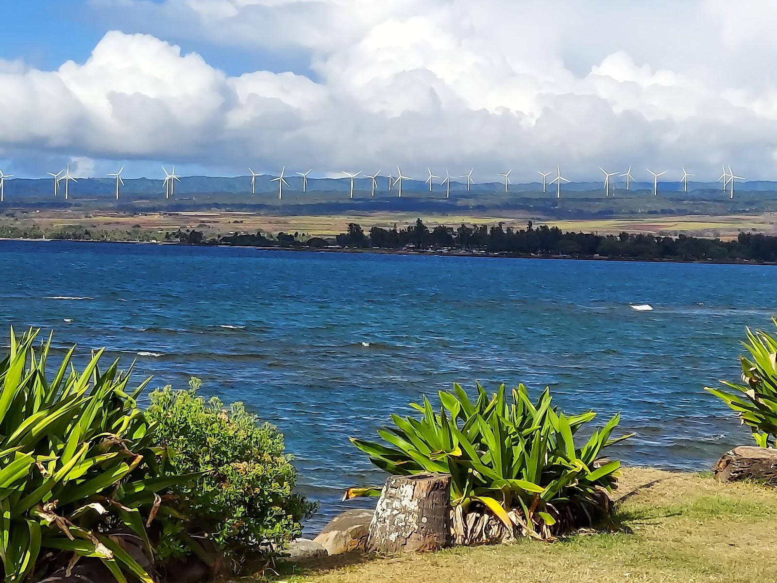 Sandee Puuiki Beach Park Photo