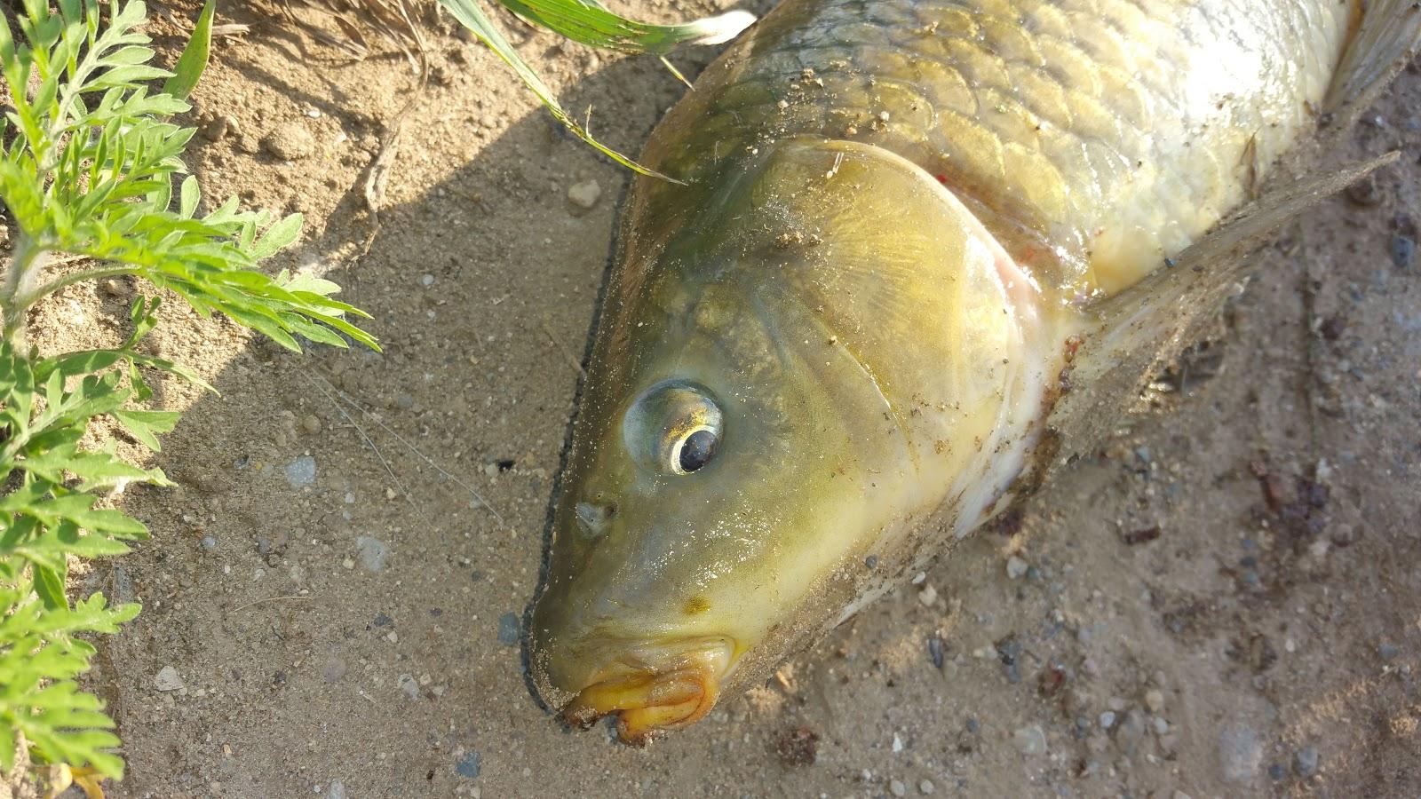 Sandee Fishing Parking