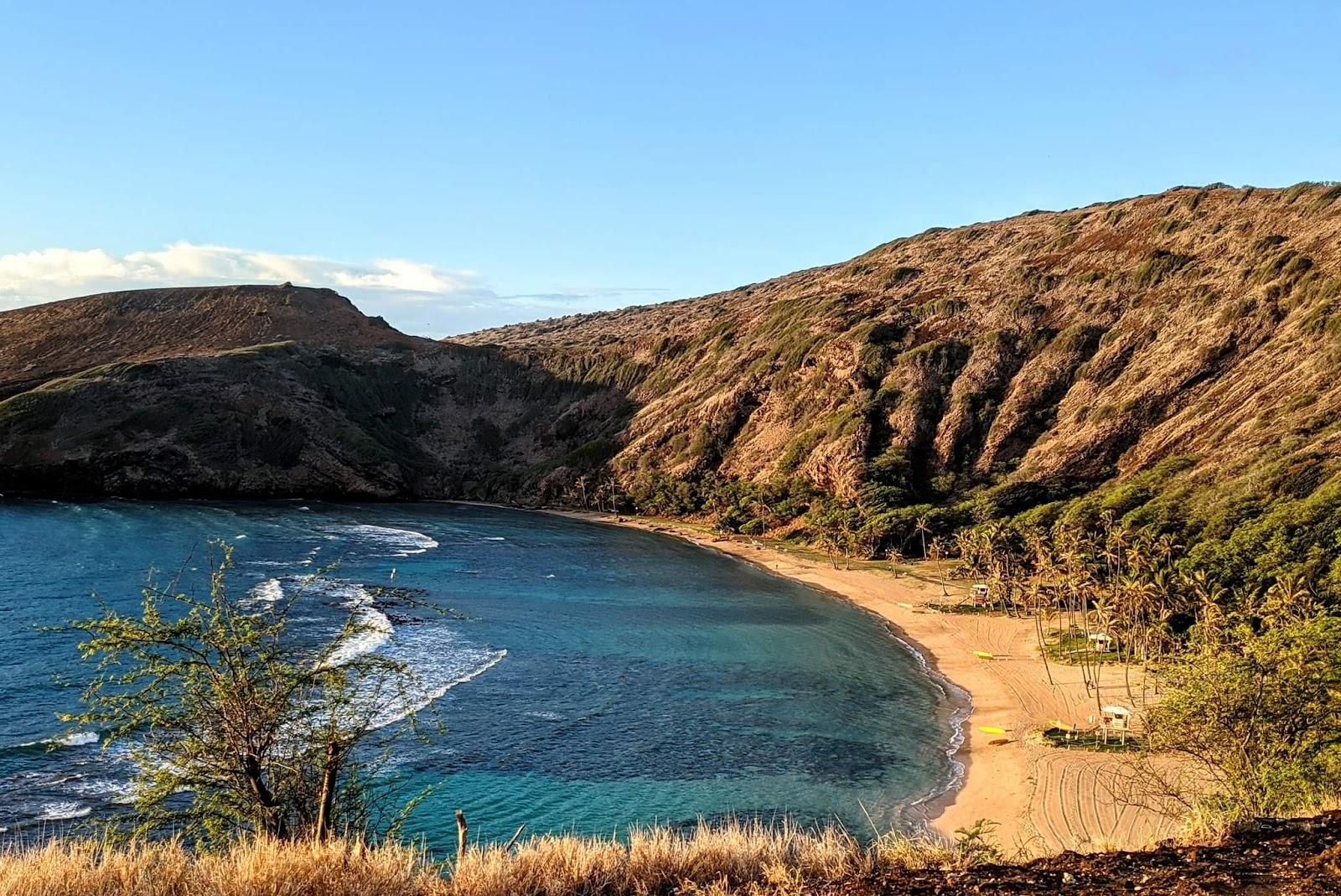 Sandee Halona Beach Cove