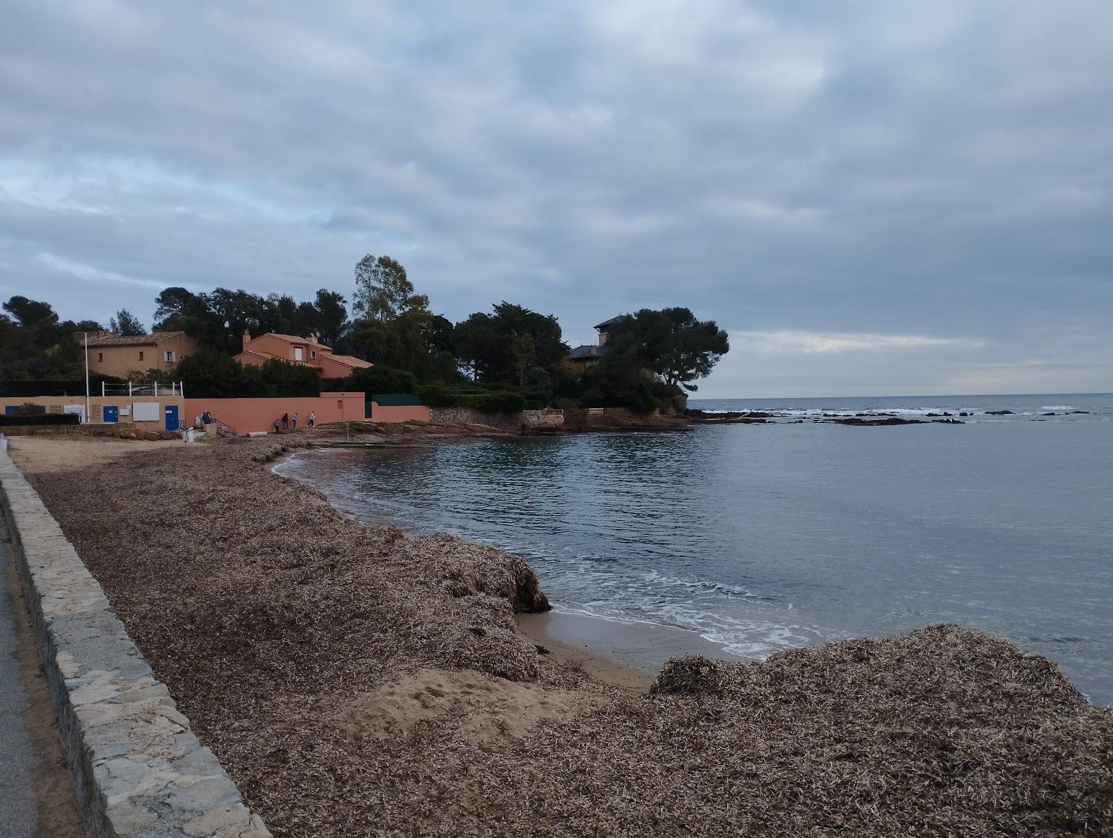 Sandee Beach De La Peguiere