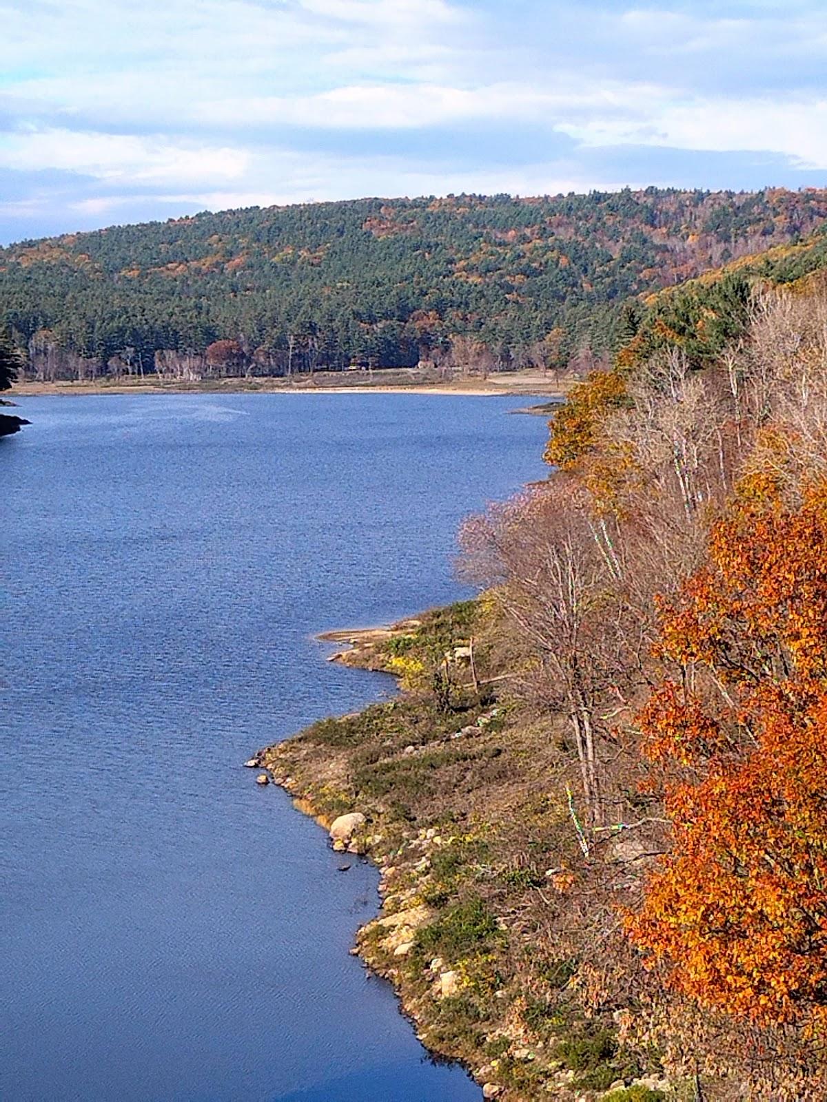 Sandee - Otter Brook Lake Beach