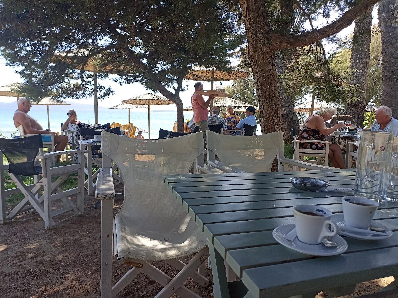 Sandee Destino Beach Bar