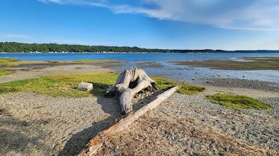 Sandee - Belfair State Park