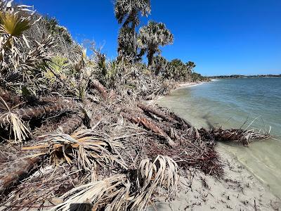 Sandee - Rattlesnake Beach