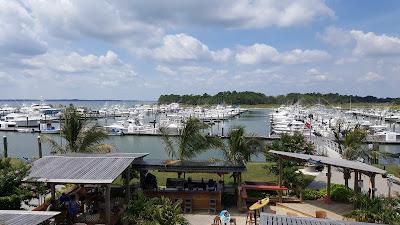 Sandee - Indian River Marina