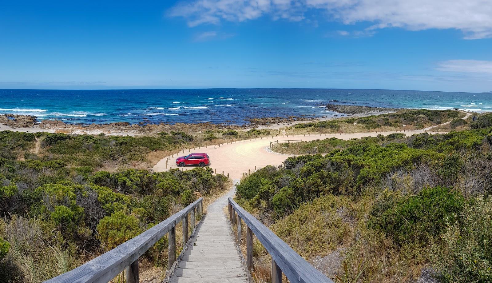 Sandee Shelly Point Photo