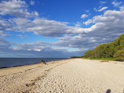 Sandee - Shoreham Beach