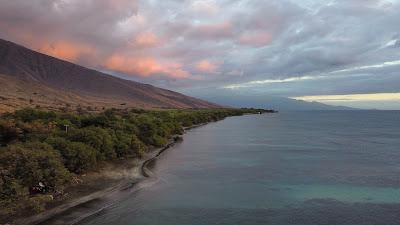 Sandee - Lahaina Beach