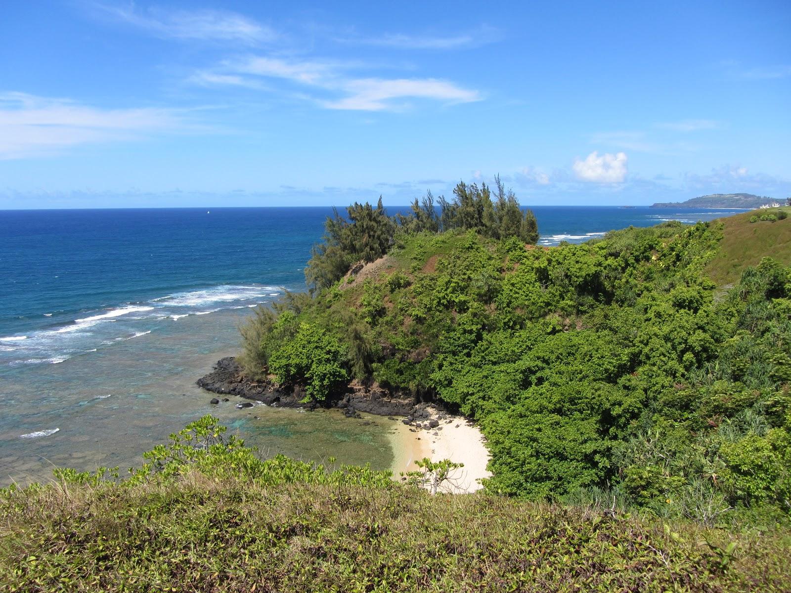 Sandee - Sealodge Beach