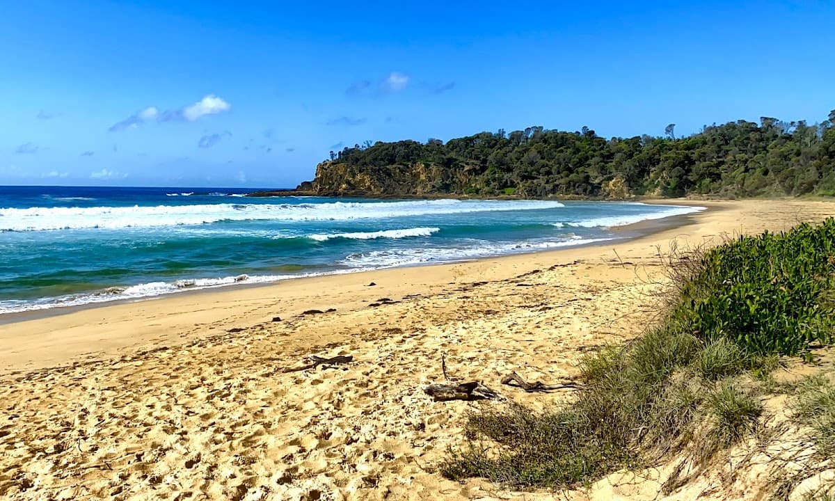 Sandee Nelson Beach Photo