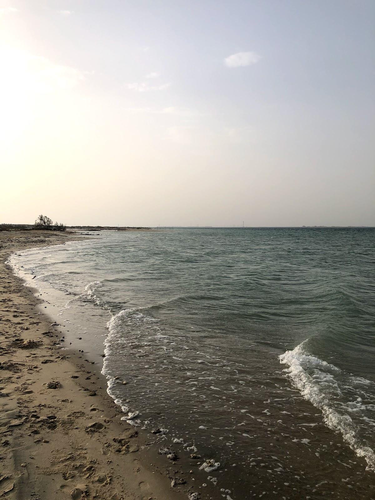 Sandee Taiba Beach
