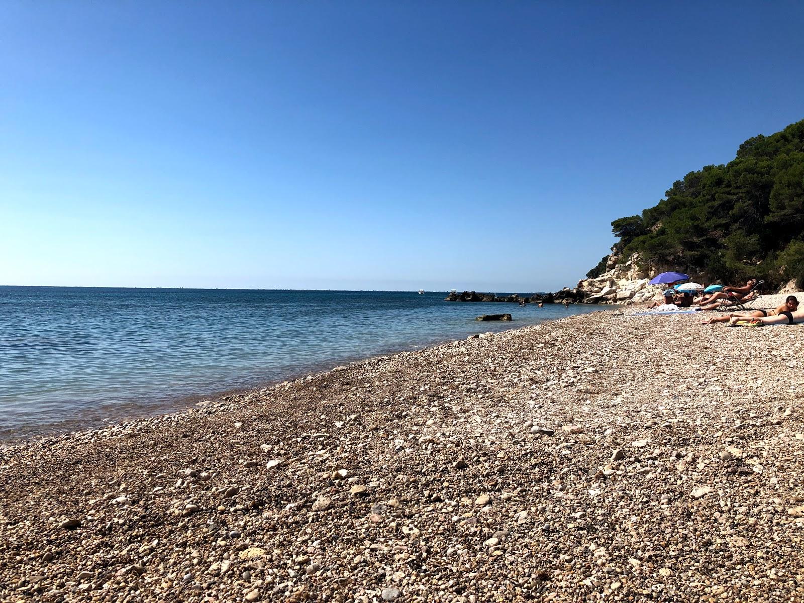 Sandee Platja De L'Aliga