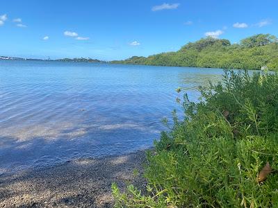 Sandee - Aiea Beach Park