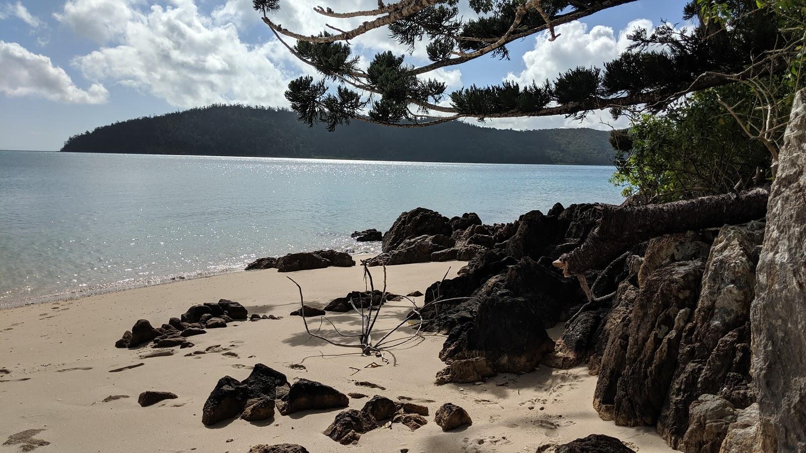 Sandee - Dugong Beach