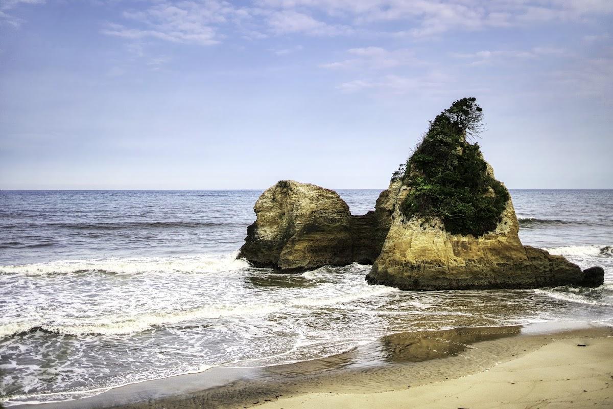 Sandee Higashinamekawa Beach Green Area Photo