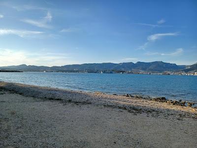 Sandee - Plage Du Fort De L'Eguillette