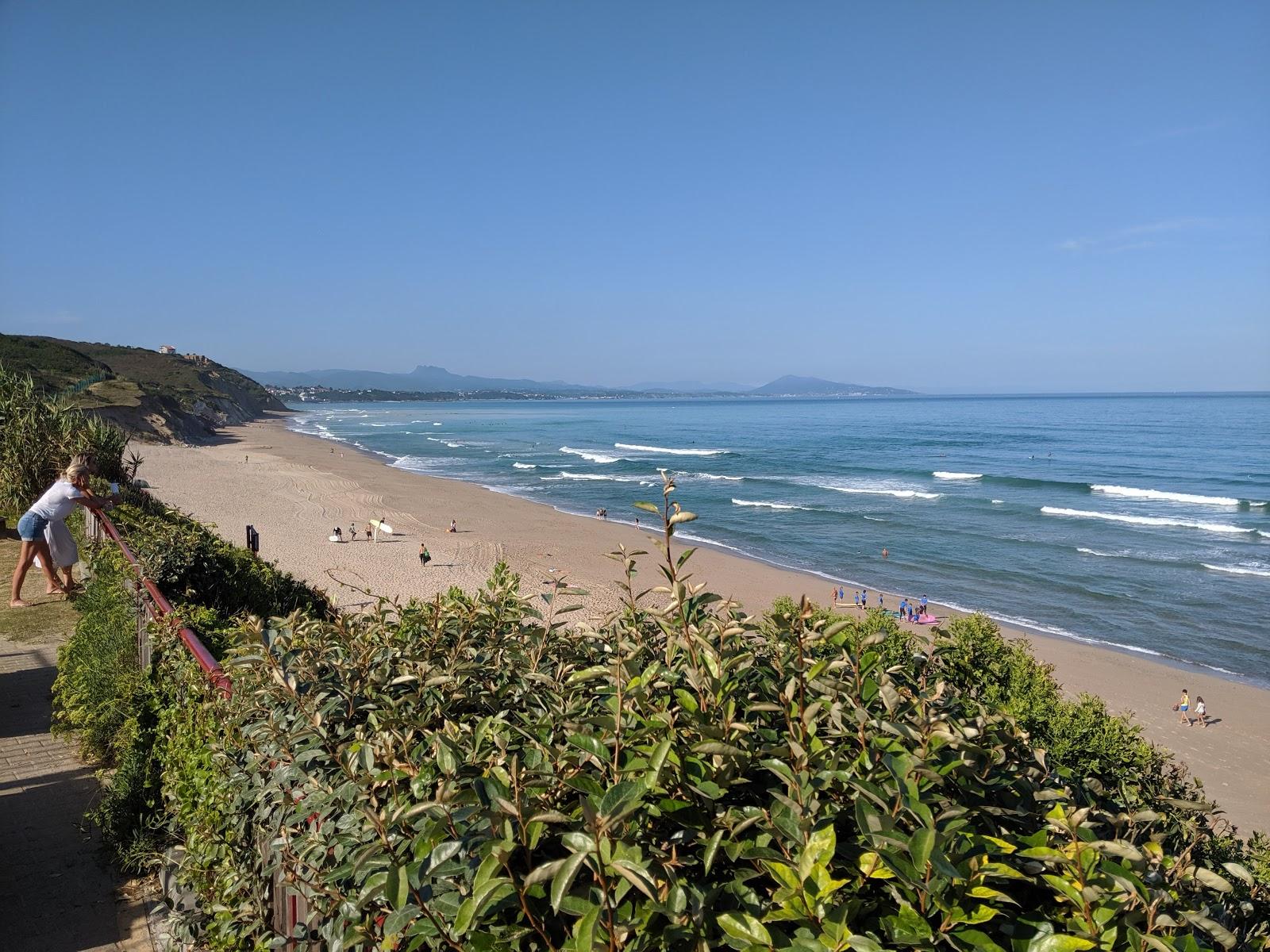 Sandee Plage Du Pavillon Royal
 Photo