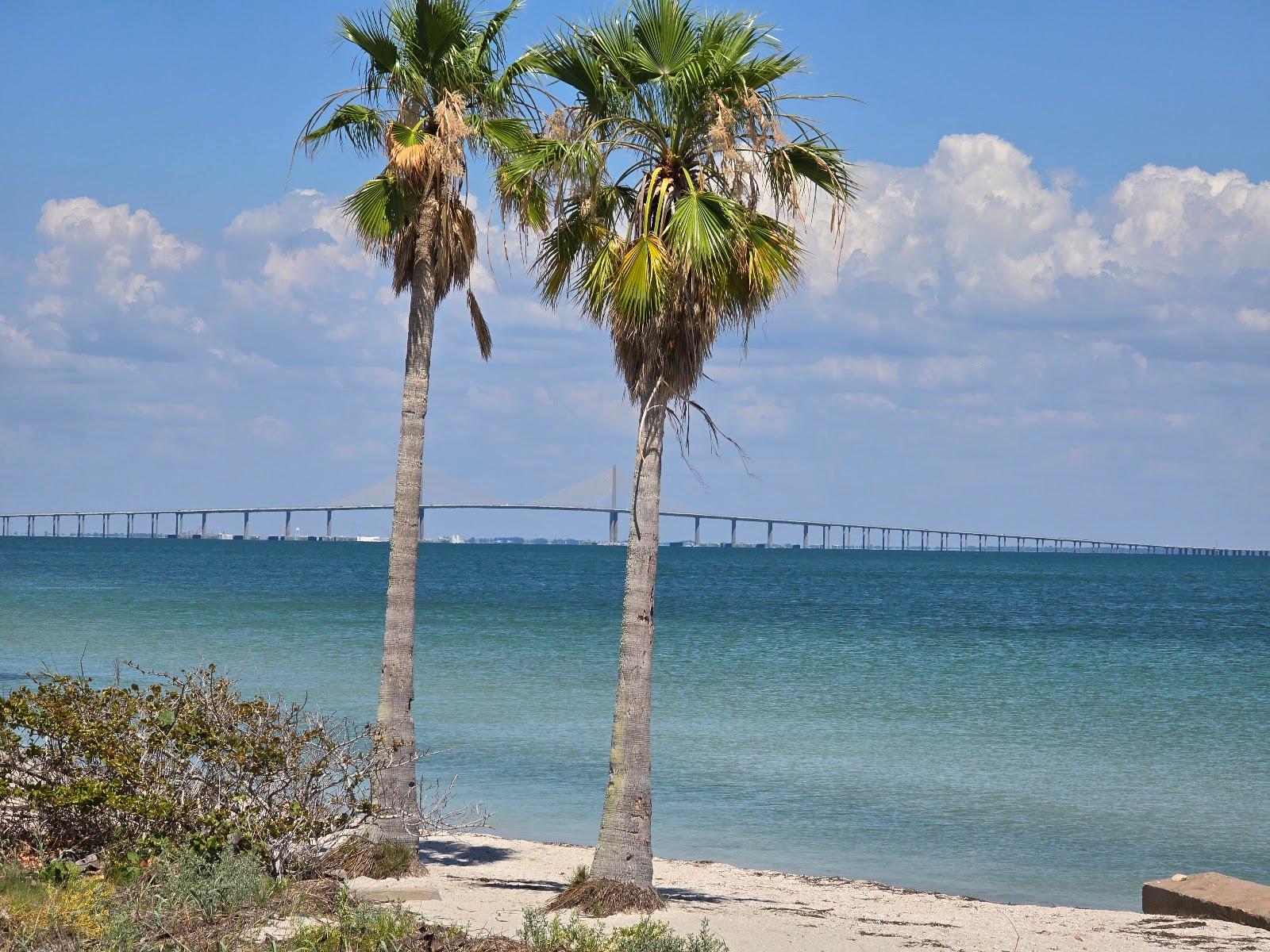 Sandee - Fort Desoto Dog Park Beach