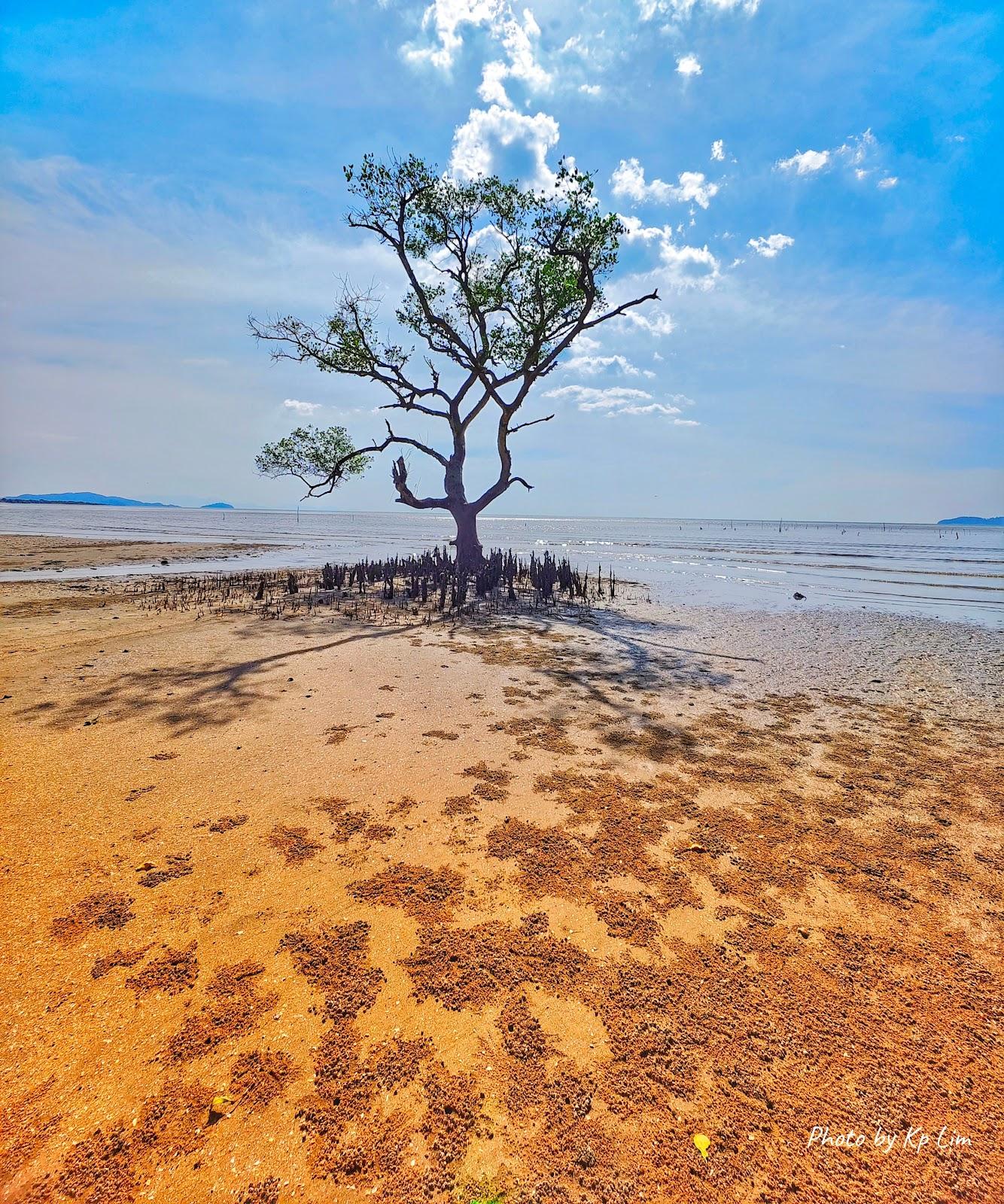 Sandee - Pantai Berkelah Tg Jaga