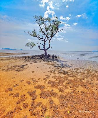 Sandee - Pantai Berkelah Tg Jaga