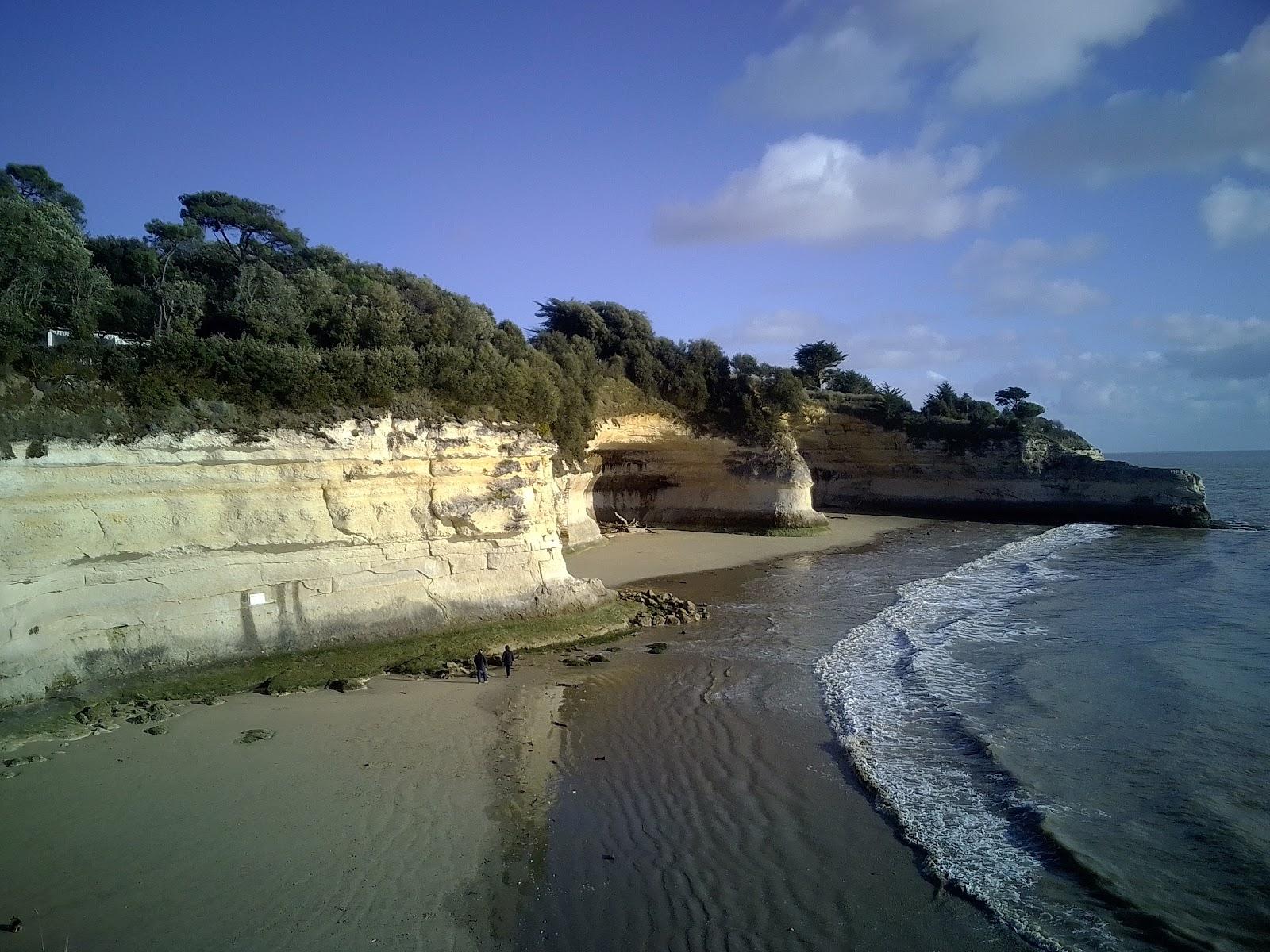 Sandee Plage De L'Arneche