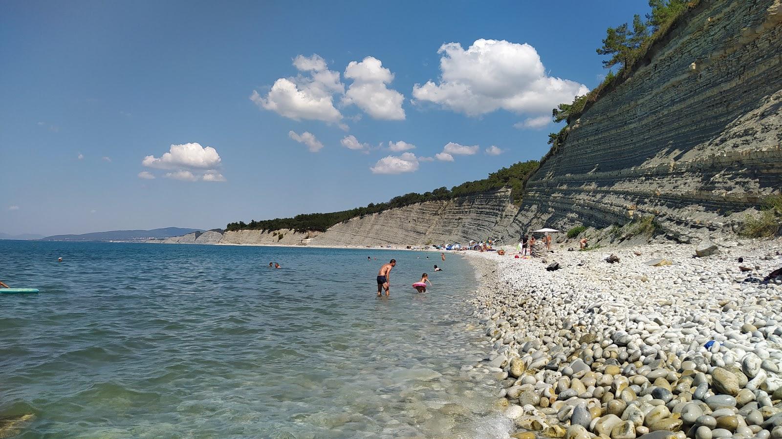 Sandee The Beach Of The Village Divnomorskoe Photo