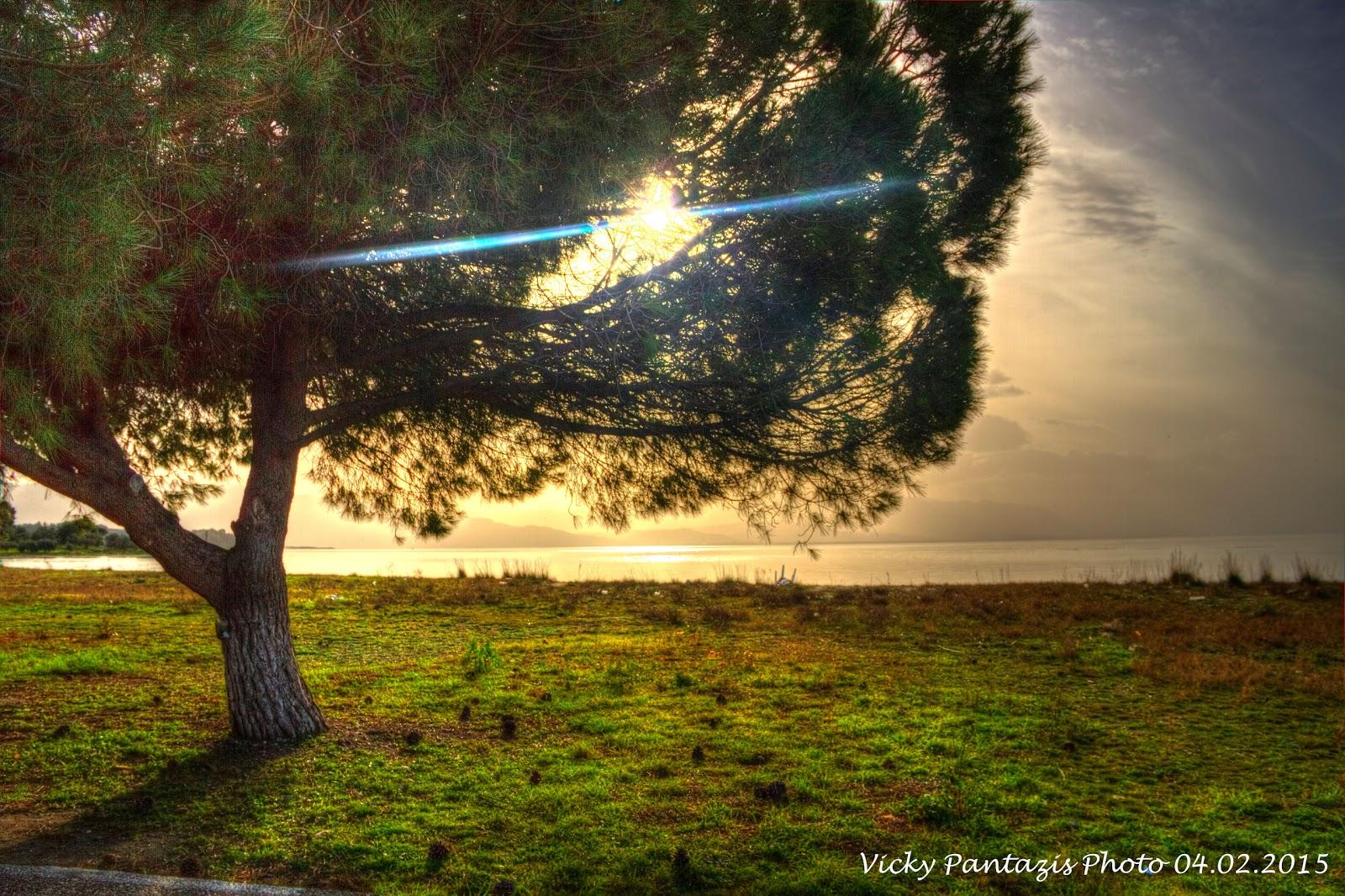 Sandee Vasilina Lighthouse Beach Photo