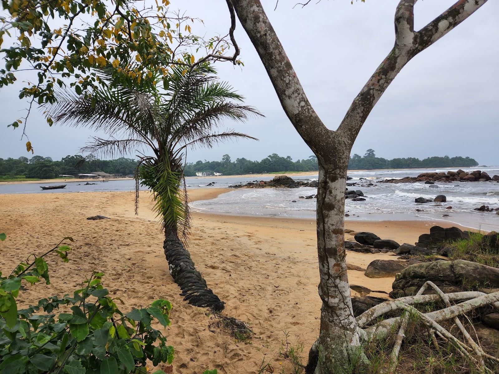 Sandee - Hotel Ilomba Beach