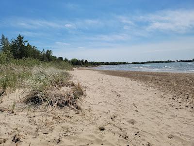 Sandee - Cheboygan State Park