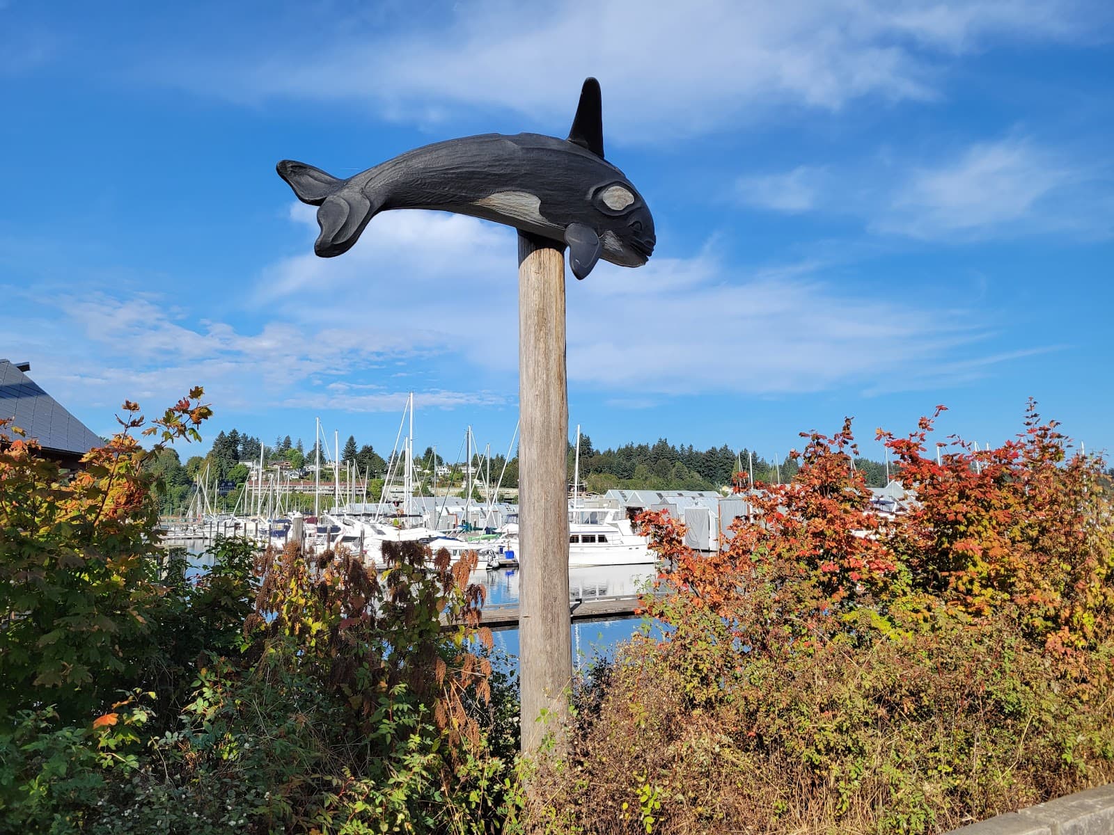 Sandee Percival Landing Photo