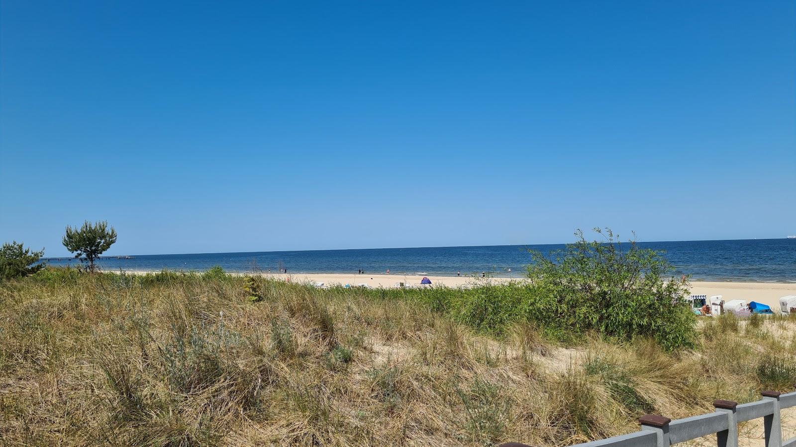 Sandee Hundestrand Mit Kiosk Und Strandkorbverleih Photo