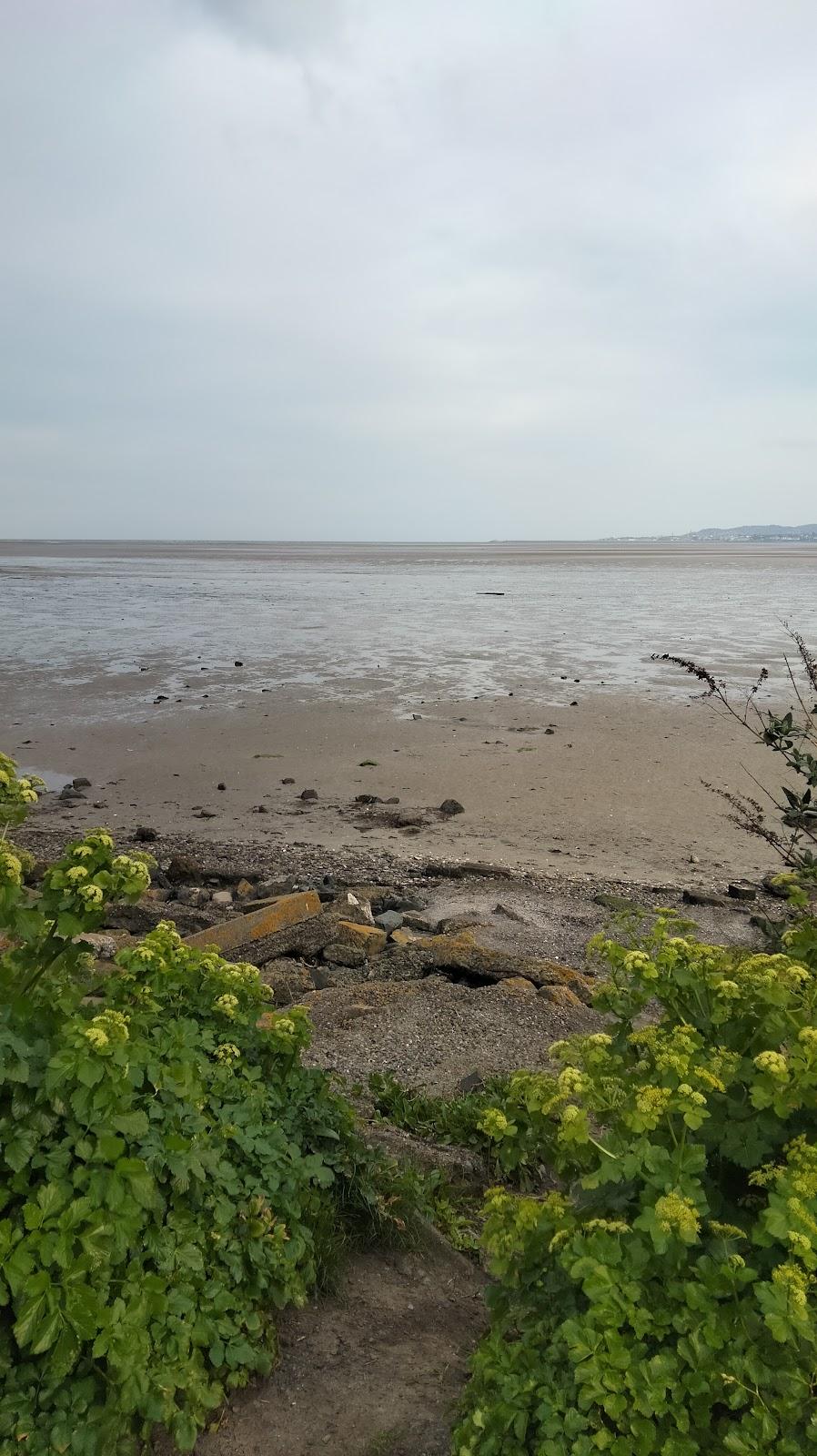 Sandee Shellybanks Beach