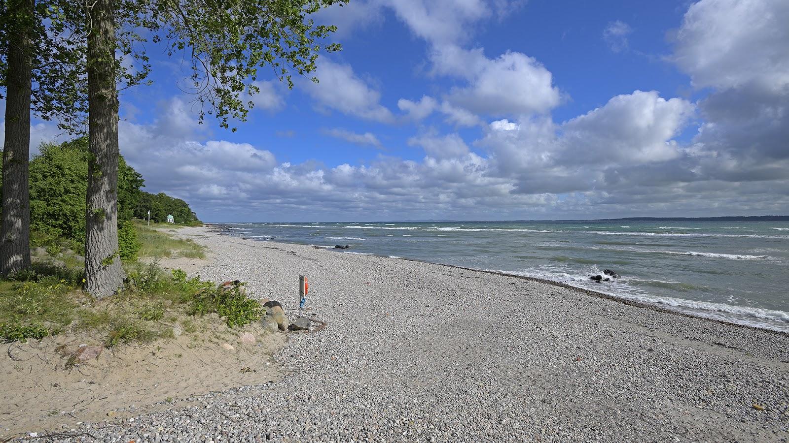 Sandee Julebak Strand Photo